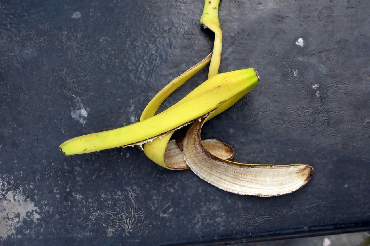 Bucce di banana e foglie di menta frullate: il rimedio naturale che protegge ogni pianta
