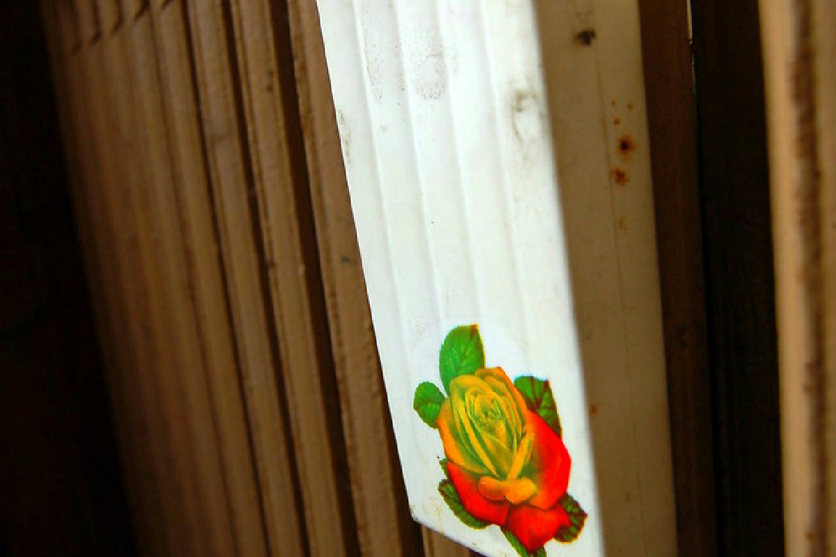 Se il riscaldamento ti prosciuga la casa, ecco 5 idee per aria umida senza spendere nulla